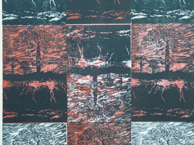 Serie Araucaria Transmutación de Araucaria