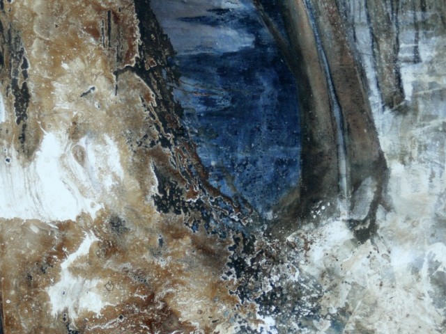 Serie Bosques de agua