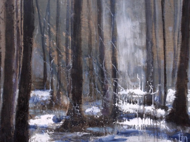 Serie Bosques de agua (b)