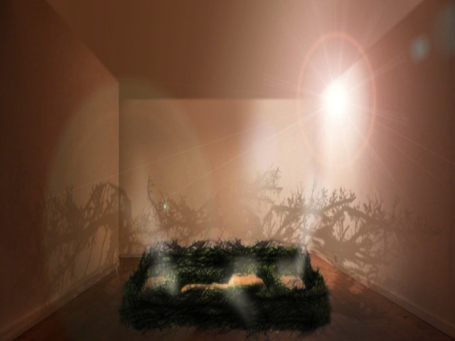 Instalación Espinos