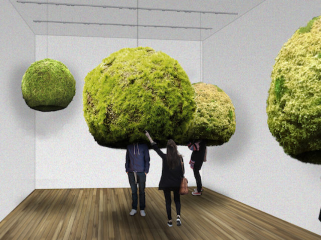 Modelo bolas de musgo