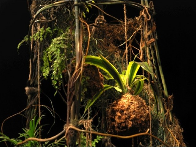 Instalación "El Rehue" (Detalle)